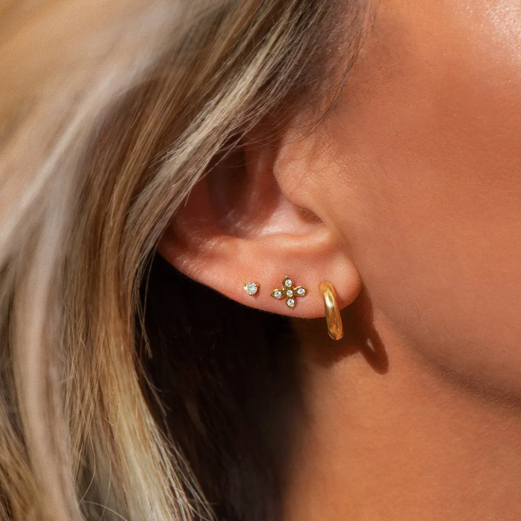 Margo Hoops